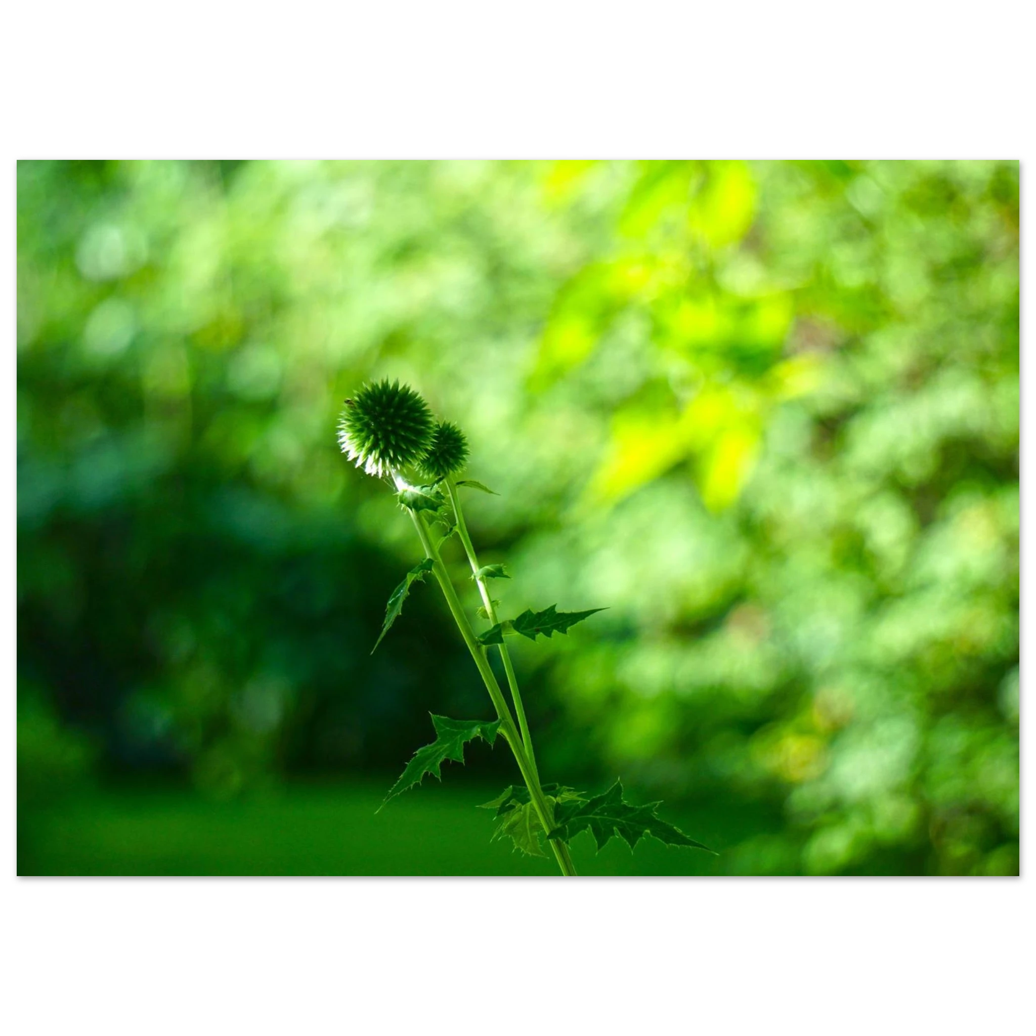 0d88a845-cb9e-4aab-b468-05444cc1919d