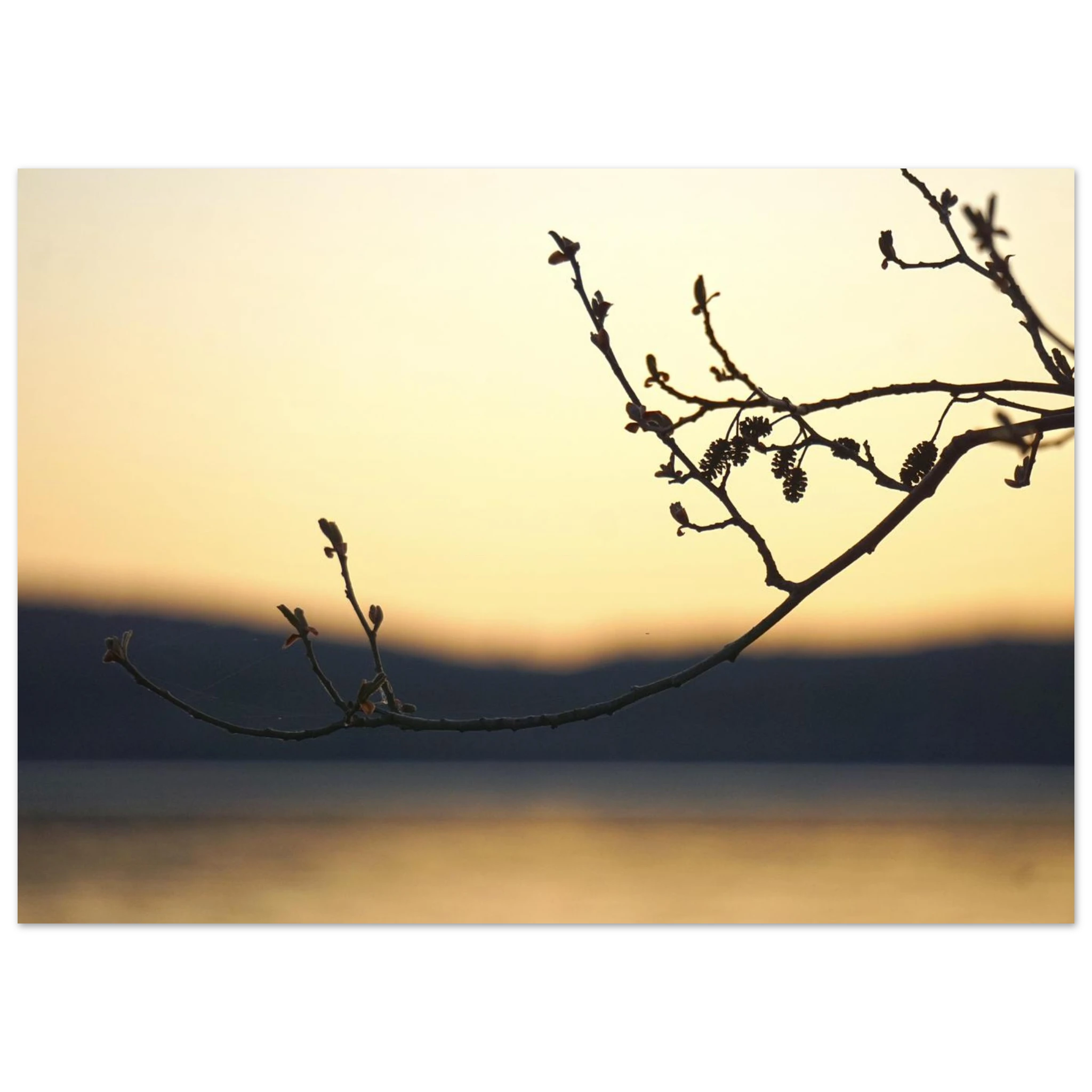 1ad41007-1938-4b96-a694-9d1de5218243