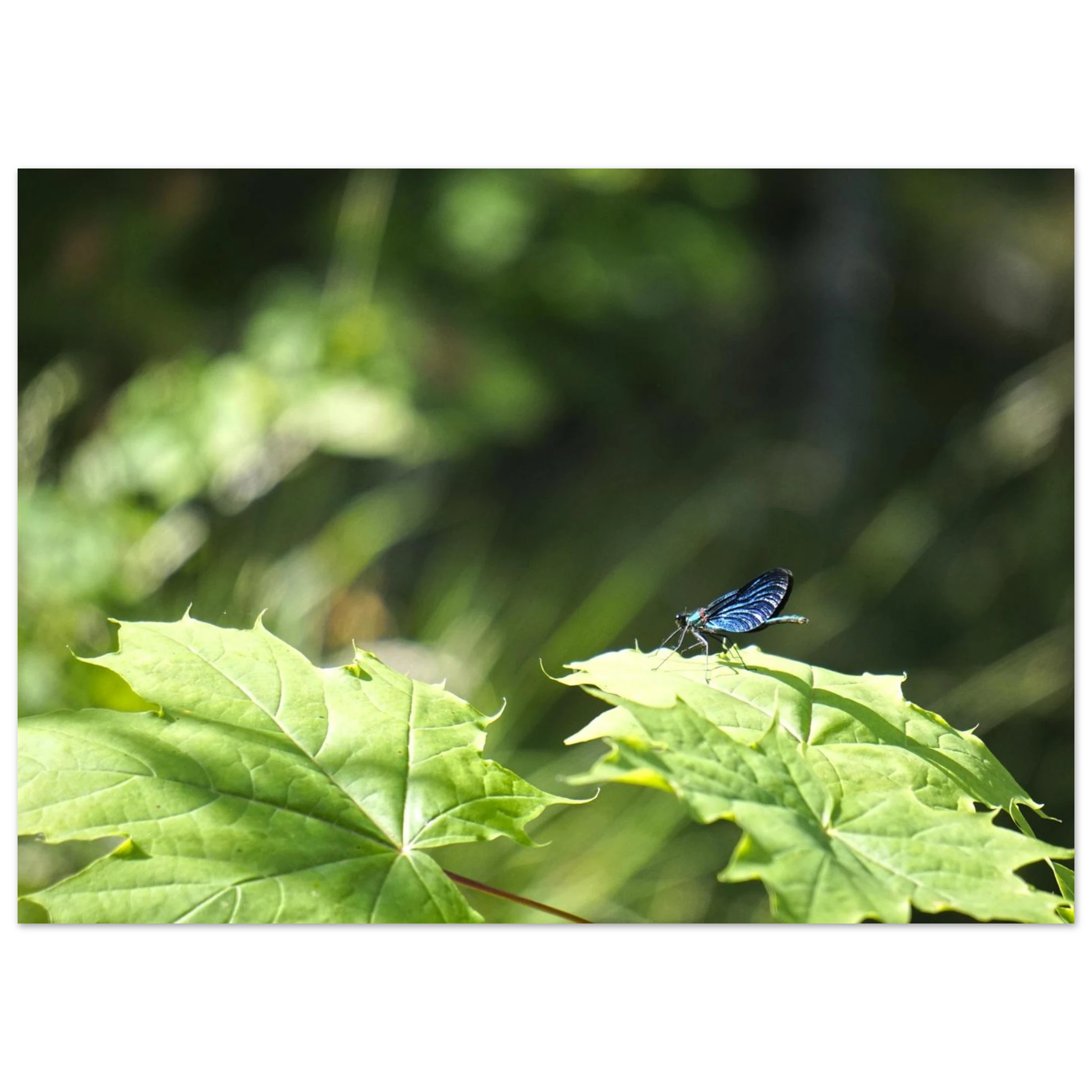 1d05c19d-05b0-4261-92cf-2223f26ef8cb