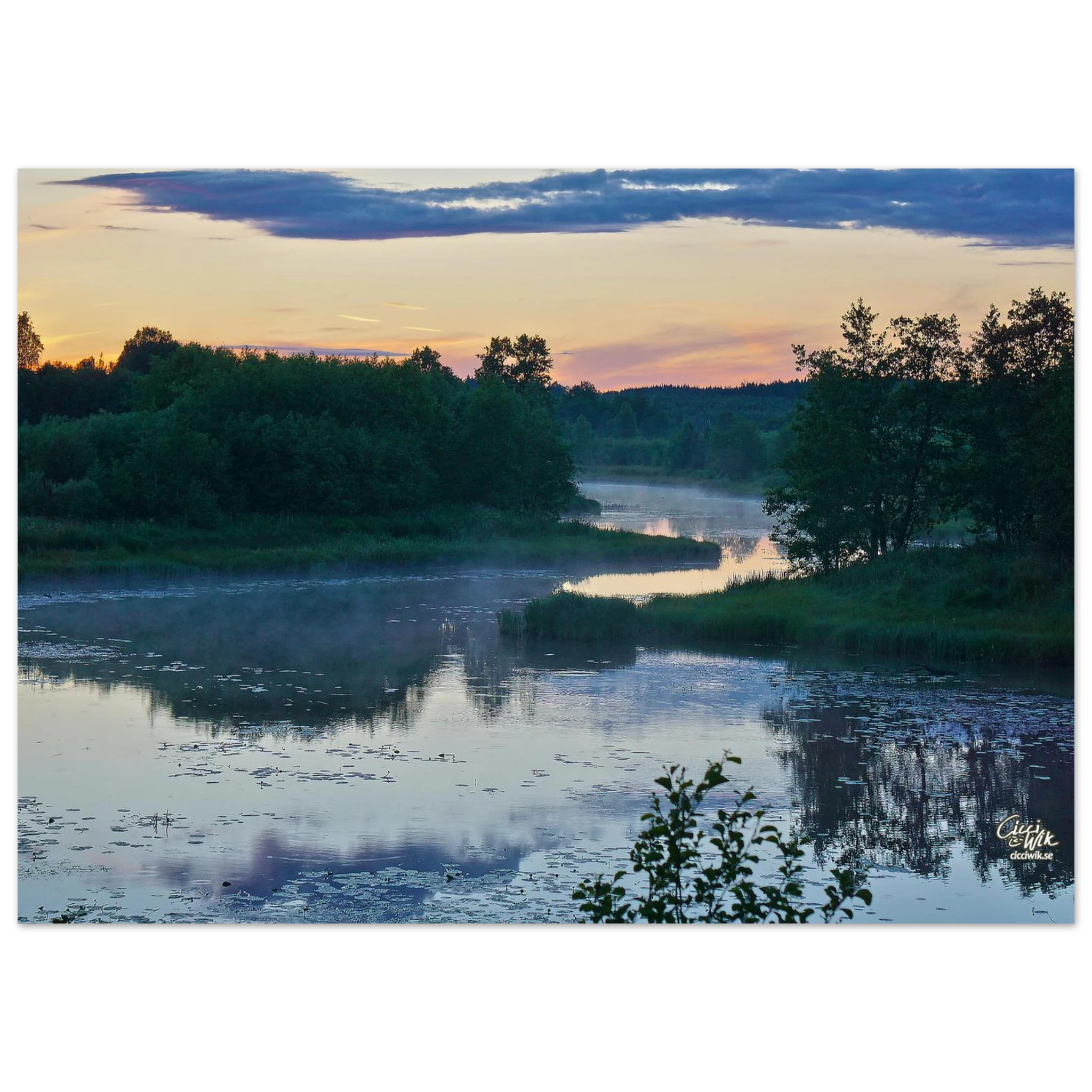 4545765c-4e31-4568-aa40-cce941622363