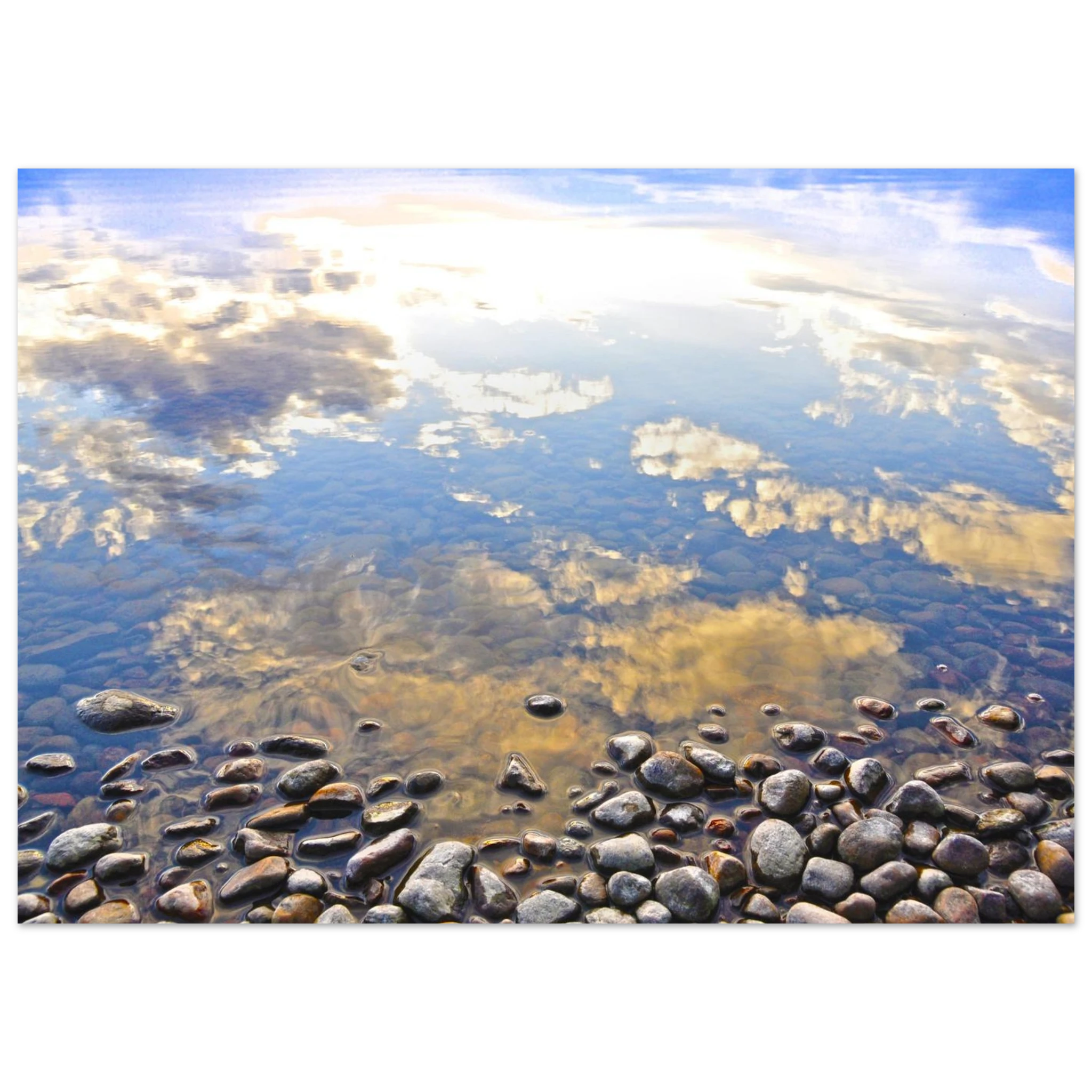 484c4922-89c0-462e-906e-0b1e4435b6a1