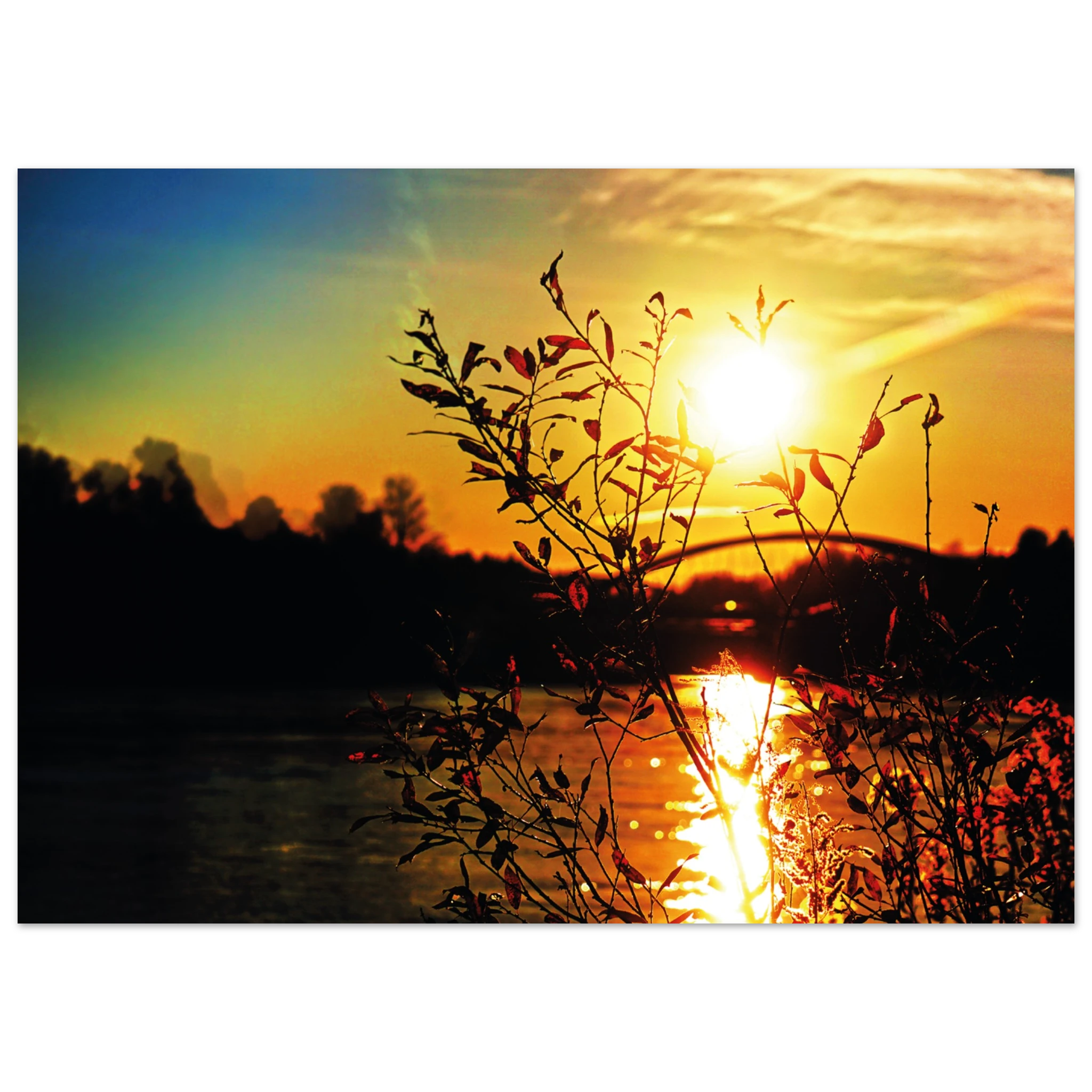 4b16a640-f4c3-4192-9aba-fba8843c693a