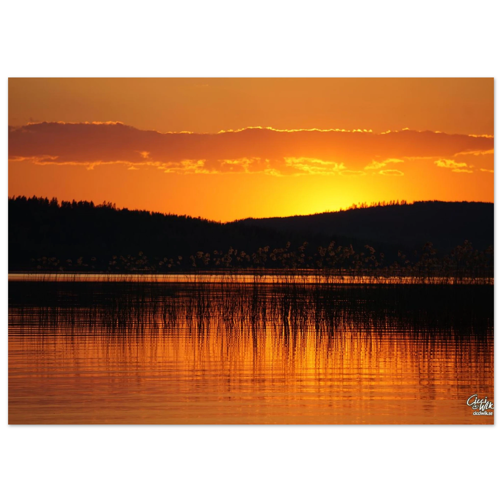 5937a325-6895-4784-914d-e06d922dfddf