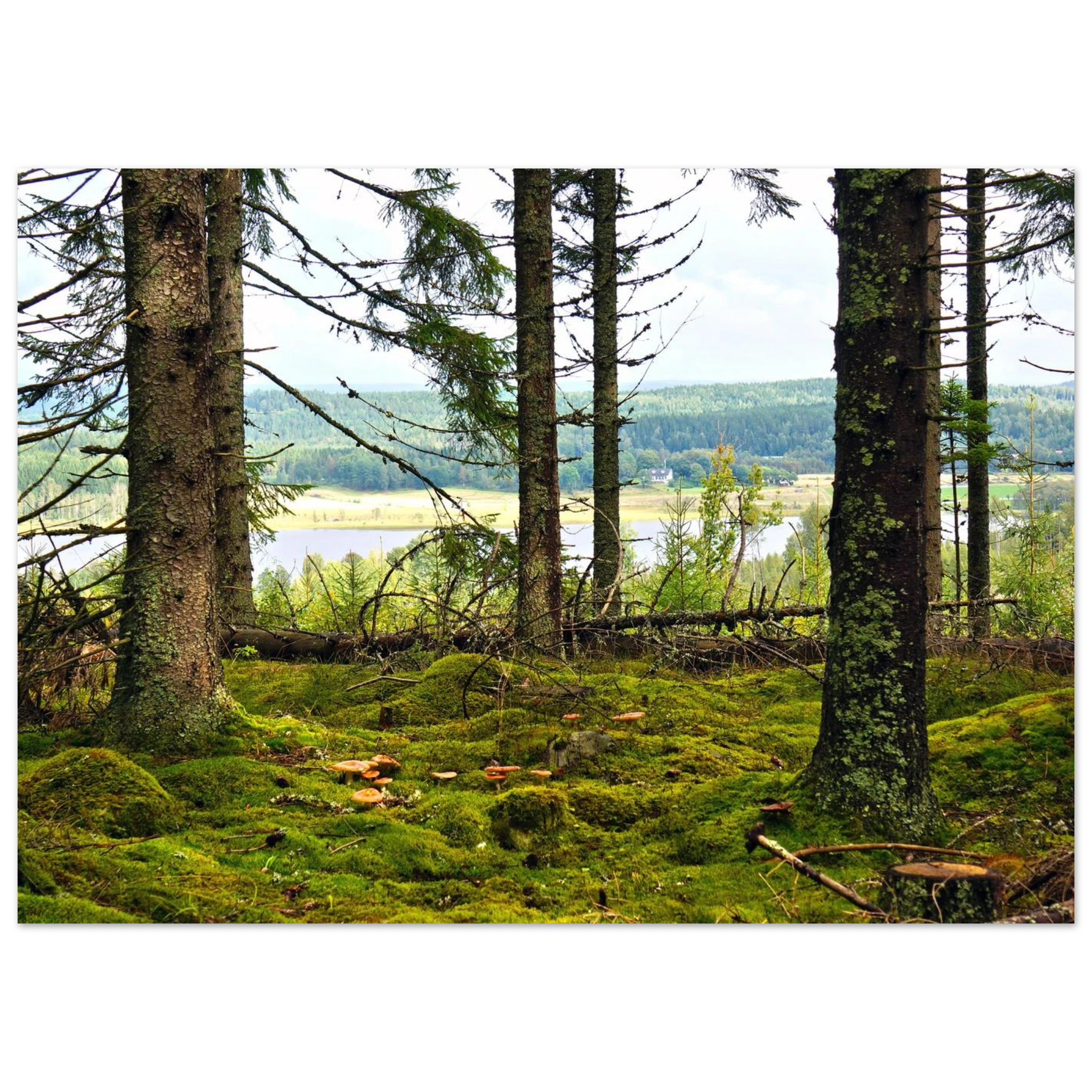 83bcd58c-fc78-44ac-806e-68285e45e90e