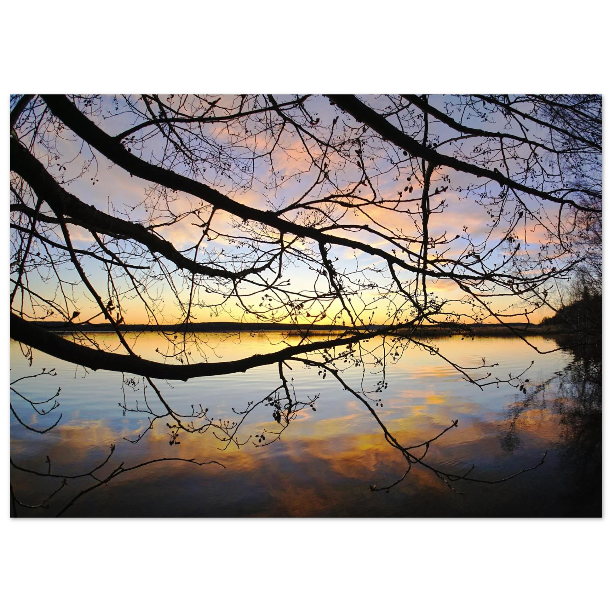 945af091-ce16-4c6d-a113-ff9c803fb434