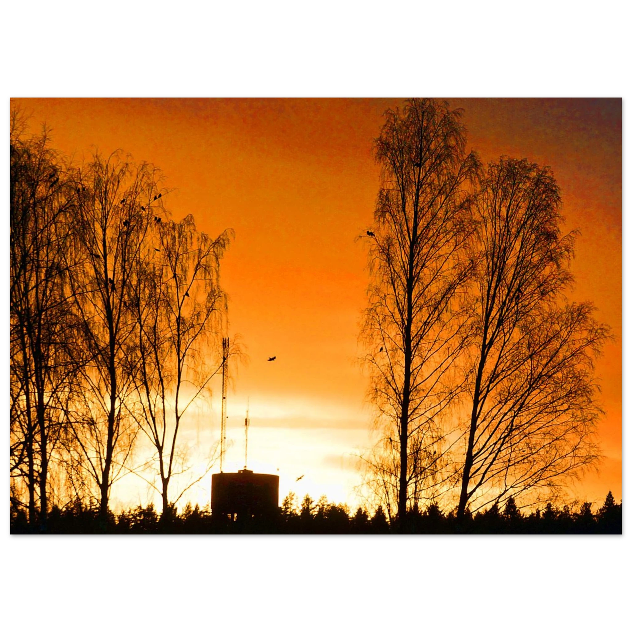 a08a6aa8-19e0-4d0f-a645-f2f901303907