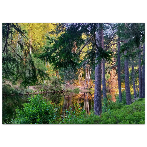 bd94c5d1-8a07-4ebd-8600-5c93907fbf33