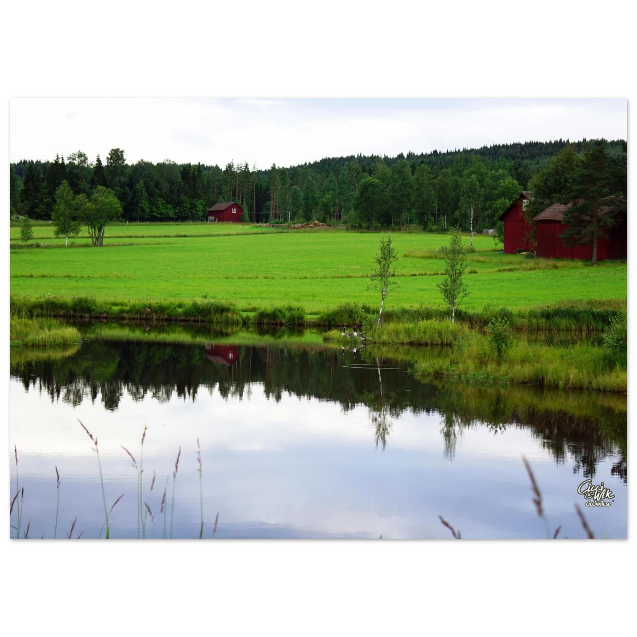 d0a8c42d-ba03-4b42-95d2-ed861afc0ff2