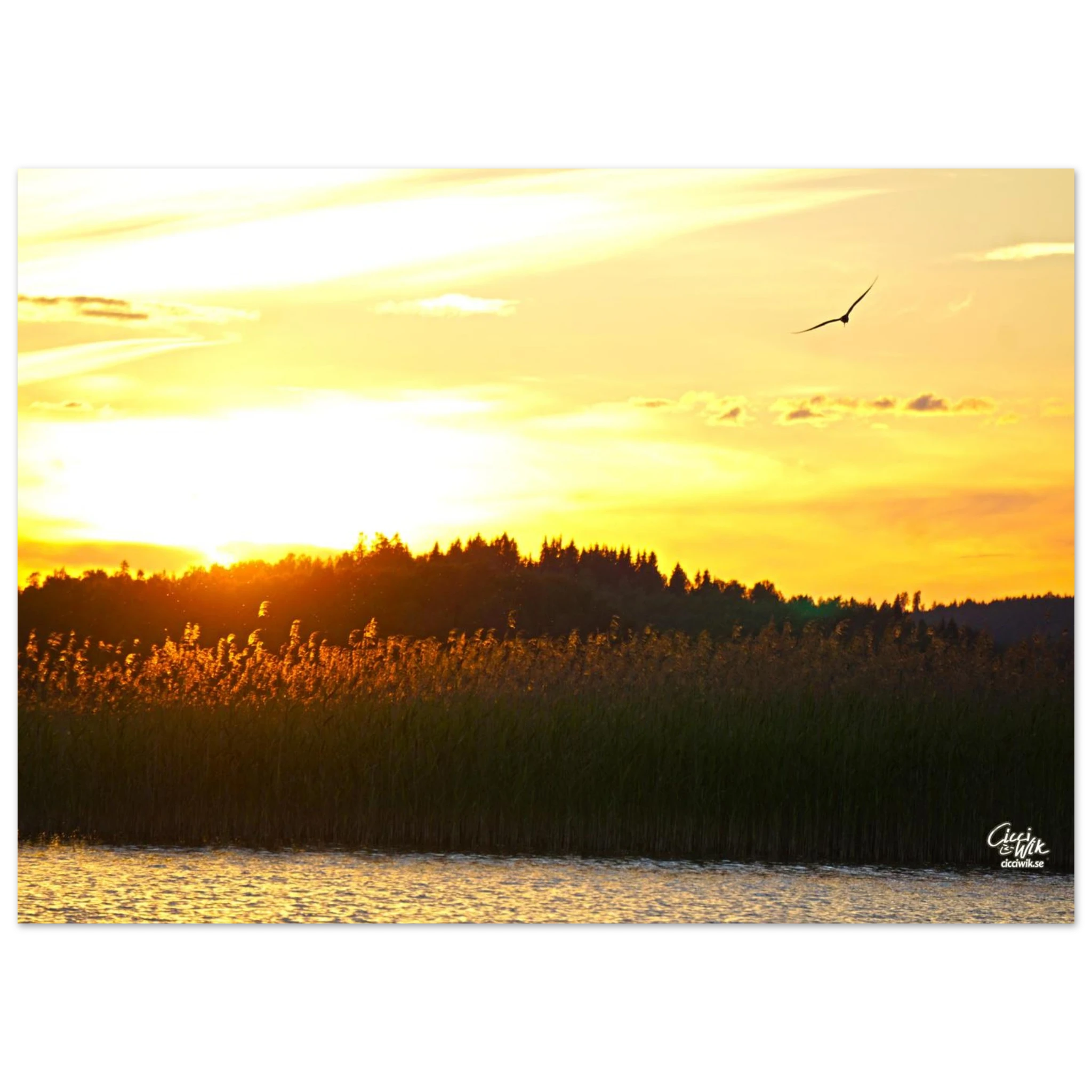 e8a8ae13-6d9e-45d4-a362-b7ef814f16c7