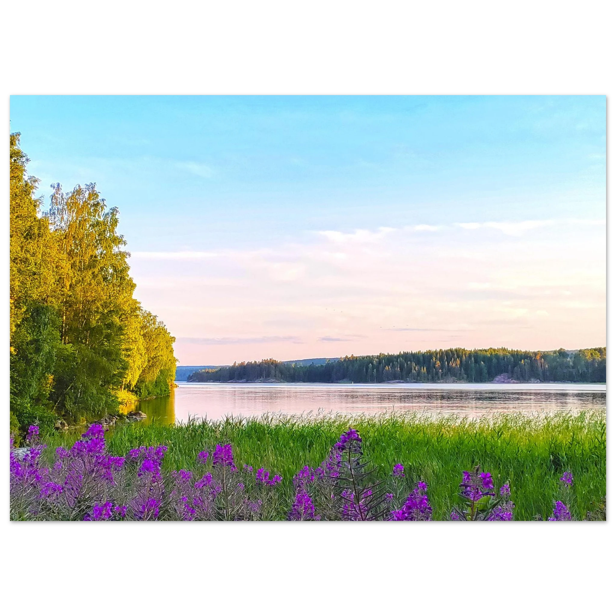 f396cf12-cd21-48e7-8bb6-fa65668831d3